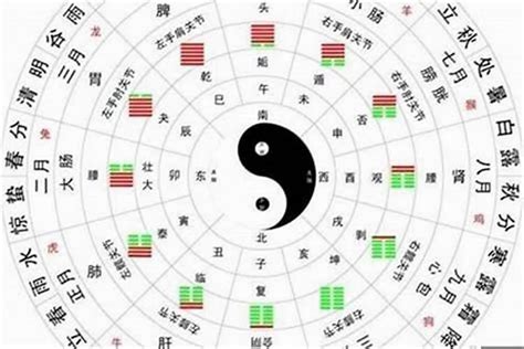 八字 五行 查詢|八字五行查詢